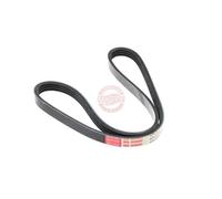 MASTER-SPORT 4PK810-PCS-MS Courroie Poly-V