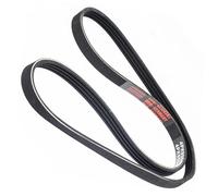 Master-sport Germany 4PK955-PCS-MS - Courroie trapézoïdale à nervures