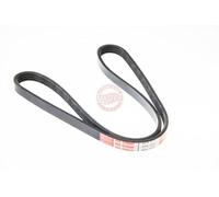 Master-sport Germany 4PK970-PCS-MS - Courroie trapézoïdale à nervures
