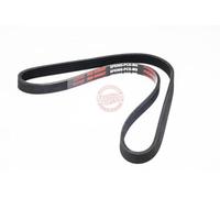 MASTER-SPORT 5PK905-PCS-MS Courroie Poly-V