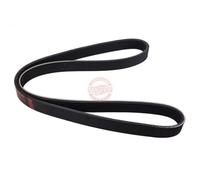Master-sport Germany 6PK1060-PCS-MS - Courroie trapézoïdale à nervures