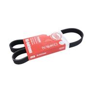 MASTER-SPORT GERMANY Courroie à nervures trapézoïdales 6PK976-PCS-MS