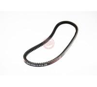 MASTER-SPORT GERMANY Courroie trapézoïdale AVX-10X613-PCS-MS
