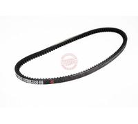 MASTER-SPORT GERMANY Courroie trapézoïdale AVX-10X625-PCS-MS