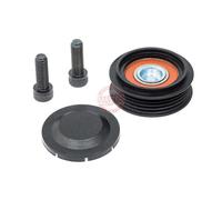 MASTER-SPORT R31059-PCS-MS Poulie, tendeur de courroie d'accessoire