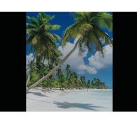 Master Value of Enterprise AI in Finance: Generative AI, Large Langued Model (LLM), Retrieval Augmented Generation (RAG), Model tuning,