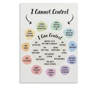 Master Your Mindset Focus on Controllable Things Life Wisdom Metal Wall-Art for Living Room Office Space Decor 8 X 12 inch