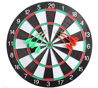 Masterdarts Cible de fléchettes Lifetime 40,5 cm - Réversible - avec 6 Darts