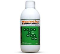 MasterLine All in One Boost - 500 ML