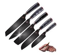 MasterPRO Tetsu | Couteaux de Cuisine Set Complet 5 Japonais Parfaits pour couper tous types d'aliments Professionnelle Renforcés, Équilibrés et avec Revêtement en Titane BGEU-5610