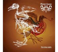 Master's Hammer / Blackosh - Split 2014 [Vinyl LP]