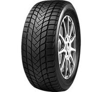 MASTERSTEEL WINTERPLUS 1 IS-W 245/45R18 100H XL