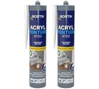 Mastic Acrylique Acryl Peinture-Cartouche De 310 Ml (Lot De 2)