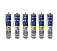 Mastic acrylique d'étanchéité blanc 310ml (6 pcs) - BOSTIK ACRYL-PEINTURE-BLCx6