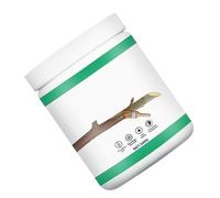 Mastic Cicatrisant Arbre, Enduit Taille Jardin, 1 Pinceau | Pâte lisse chaux et graisse, Application précise sur écorce, Format compact transportable
