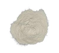 Mastic de Chios Grecque Mastiha Râpé 25g - 460g Qualité Supérieure Très Fraîche (460 grammes)
