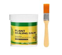 Mastic pour plaies d'arbres - Pâte de protection | Mastic pour greffage et taille de , assaisonnement pour greffe d'arbres coupés | Pour , arbustes bonsaïs, vergers courts