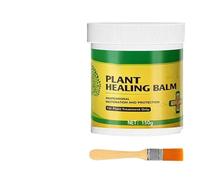 Mastic pour plaies d'arbres - Réparatrice pour élagage - Pâte d'étanchéité pour plantes, bonsaï, arbre, vergers, écorce, jardin, cour, ferme et paysage