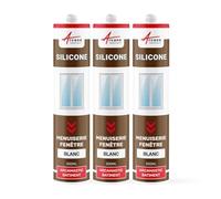 Mastic silicone, fenêtre, menuiserie, étanchéité - 300 ml x 3 Blanc - ARCANE INDUSTRIES