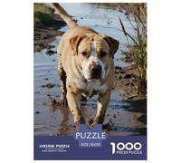 Mastiff1000 Pièces PuzzleChien Encastrement Parfait, Adultes/Enfants, Décoration Intérieure, Cadeau 70x50cm/1000pcs