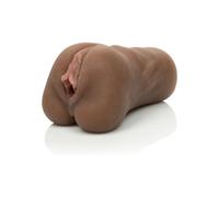 CALEXOTICS - LA COUPÉ LE SOURCILS DE LA CHATTE