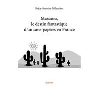 Masumu, le destin fantastique d'un sans-papiers en France