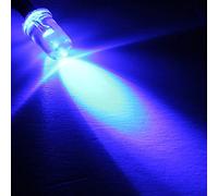 MASUNN 10Pcs LED Lampe Ampoule 20Cm Pre Filaire 5Mm 12V DC Lumière Colorée - Bleu