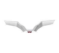MasYosh Coltre à Volant, Garniture Décorative Protectrice de L'ABS pour Sylphy 2020, avec Une Installation de Pâte Facile et Un Autocollant élégant (Argent)