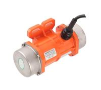 MasYosh Moteur de Vibration, Moteur Asynchrone monophasé 3000 Tr/Min avec Bloc Excentrique Réglable et IP66, pour la Métallurgie du Charbon de la Métallurgie Construction de L'énergie (100W)