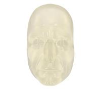 Masyrt Tête d'entraînement réutilisable en silicone pour entraînement par injection - Mannequin de compétences améliorées pour esthéticiennes et chirurgiens plasticiens - Détails simulés - Modèle de