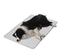 Mat De Compagnie Refroidissant - Mat De Chat Des Refroidissement Respirant Pour Chiens | Tabillard De Folie De Soie De Glace Summer Pour Animaux De Compagnie | Tampon De Refroidissement En Plein Air E