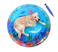 Mat D'eau De Chat - Play-mat D'eau Sensorielle | Tampon De Jeu De Capteur Épaissi | Faclables De Confort Cool Avec Pompe | Tampons De Refroidissement Interactifs | Fournitures Pour Animaux De Compagni