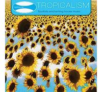 Matar, Nicolas - Tropicalism