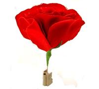 Match to Rose - Trick