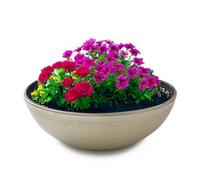 Matches21 Bac à plantes pour l'extérieur, décoratif, moderne, beige, avec film comme pot de fleurs, 25 x 9 cm, pour décoration de jardin, bain d'oiseaux, balcon, salon