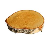 matches21 Disque en Bois de Bouleau Bois véritable Disque en Bois de Bouleau Arbre décoration en Bois de Bouleau pour décoration & DIY - 1 pc Ø 15-20 cm
