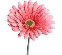 matches21 Gerbera Fleur Artificielle pour compositions Florales Fleur Artificielle Plastique 1 pc Ø 10x56 cm - Rose