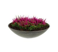 matches21 HOME & HOBBY Bac à plantes résistant aux intempéries pour l'extérieur de 28 cm - Noir marbré comme bac à fleurs - Bac décoratif