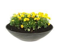 matches21 HOME & HOBBY Bac à plantes résistant aux intempéries pour l'extérieur de 35 cm - Noir marbré comme bac à fleurs - Bac décoratif