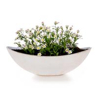 matches21 HOME & HOBBY Grand pot de fleurs ovale de 34 cm - Décoration d'extérieur vintage - Blanc crème brillant