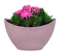 matches21 HOME & HOBBY Haute coupe décorative vintage rose antique 24 x 10 x 14 cm Vase de plantation pour extérieur Décoration de table