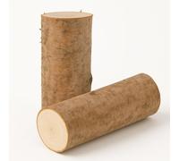 matches21 HOME & HOBBY Lot de 2 petits troncs d'arbre Ø 12 x 30 cm - Lot de 2 troncs ronds en bois de bouleau comme matériau naturel Décoration en bois DIY Matériel de bricolage