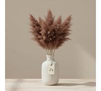 matches21 HOME & HOBBY Lot de 40 herbes de la pampa séchées - Fleurs séchées de 50 cm - Décoration de table naturelle bohème
