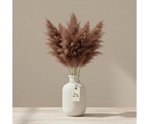 matches21 HOME & HOBBY Lot de 40 herbes de la pampa séchées - Fleurs séchées de 50 cm - Décoration de table naturelle bohème