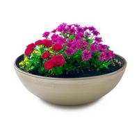 matches21 HOME & HOBBY matches21 Grand bac à plantes résistant aux intempéries pour l'extérieur - Grand bol décoratif en feuille de champagne - 30 cm pour fleurs, bonsaï ou cimetière