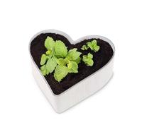 matches21 HOME & HOBBY Pot de fleurs vintage en forme de cœur - Blanc crème - 21 x 20 x 7 cm - Décoration funéraire - Résistant aux intempéries