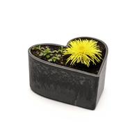 Matches21 Pot de fleurs en forme de cœur résistant aux intempéries pour l'extérieur - Bac décoratif noir marbré comme bac à fleurs - Bol décoratif de jardin de 15 cm pour fleurs ou cimetière comme