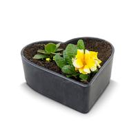 Matches21 Pot de fleurs en forme de cœur résistant aux intempéries pour l'extérieur - Grand bol décoratif en noir marbré comme bol à fleurs - 24 cm pour fleurs ou cimetière comme bijou funéraire