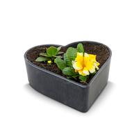 Matches21 Pot de fleurs en forme de cœur résistant aux intempéries pour l'extérieur - Grand bol décoratif noir marbré comme bac à fleurs - Bol décoratif de jardin de 20 cm pour fleurs ou cimetière