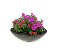 matches21 Pot de Fleurs Plat Rond pour jardinière Bol en Plastique Aspect marbre Gris 1 pièce - Ø 25x7 cm